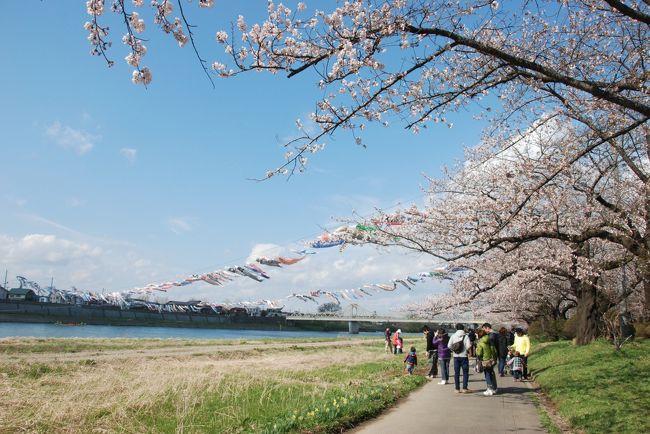 死ぬまでに行ってみたいねぇ・・・・・・<br /><br />と、母が口にする場所はいくつもあって(^o^;)<br />黒部もバリもその言葉に乗せられて連れて行きましたが<br />そんな母が一番よく言っていたのは<br />「東北に行ってみたか～」でした。<br />ただ、私自身がこれまで東北エリアにそれほど興味を持ったことがなくて<br />聞こえないふりをしてきたのですが<br /><br />そんな私が東北に行こうと決めたのは<br />やはり、東日本大震災の影響が大きいと思います。<br /><br />あの未だに胸が苦しくなるような3月11日の映像<br />そして、そこから復興に向けて一生懸命頑張っていらっしゃる被災地の方々<br />あんなに辛い経験をされたはずなのに<br />TVで「東北に遊びに来てください！」と笑顔で語られる人柄も<br />色々気になって調べるようになった山や海などの風景も<br />私の心が動くのに十分な程美しく・・・・・・・<br /><br />母の念願を叶えつつ<br />私に出来る範囲で東北を応援出来たら、という気持ちで<br />今回、母との旅行では最長の６泊７日というプランで<br />青森、岩手、宮城３県を廻る旅に出かけました。<br /><br />東北は<br />今まで興味がない、なんて言ってた自分が恥ずかしくなるくらい<br />美しい風景と美味しい食べ物<br />そして温かい人々の住むエリアでした(^o^)<br />見どころいっぱいだったので<br />多分長い旅行記になると思いますが(^o^;)<br />１回目は出発から最初の宿泊地、盛岡までをご紹介していこうと思います。<br /><br />