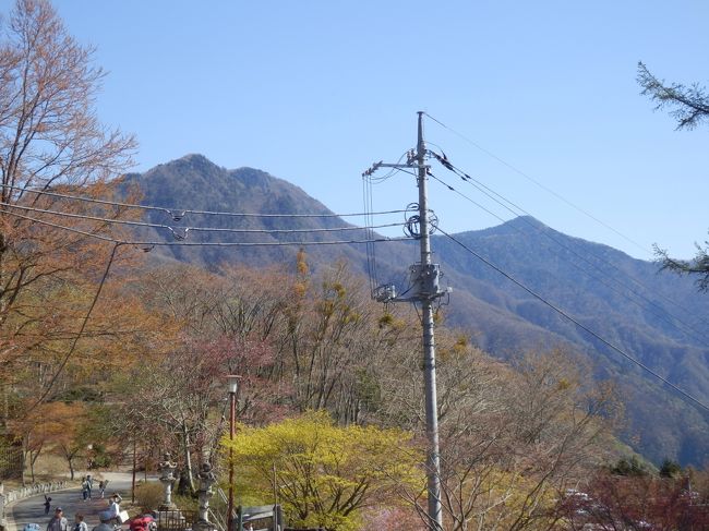 今年初の日本百名山に雲取山縦走へと。<br /><br />天候：２日間とも快晴<br /><br />昨年１１月に行こうとしていましたが、装備の準備不足（６本アイゼンが無く）で断念したので念願が叶いました。<br /><br />今回も４月末でも残雪が考えられるので重たい６本アイゼンを担いでの山行でしたが使用しなくてＯＫでした。<br /><br />写真の右が雲取山（2017ｍ）・左が白岩山（1921ｍ）。<br />三峰神社の方から撮りましたので雲取山の方が低くなっています。<br /><br />4/27（土）<br />ＪＲ奥多摩駅9：30発〜西東京バス40分鴨沢へ10：04…堂所…ブナ坂…<br />奥多摩小屋…小雲取山（1937ｍ）…雲取山（2017ｍ）…雲取山荘泊<br /><br />　　　　歩行距離：時間⇒約１０ｋｍ・約６時間<br /><br />4/28（日）<br />雲取山荘…白岩山（1921ｍ）…お清平…霧藻ヶ峰（1523ｍ）…妙法ヶ岳・三峰神社奥ノ院（1329ｍ）往復…三峰神社・興雲閣（温泉入浴）〜西武秩父駅<br /><br />　　　　歩行距離：時間⇒約９ｋｍ・約５時間<br /><br /><br /><br /><br />