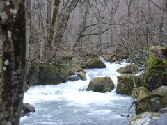 2013年最初の母娘旅は母念願の東北へ！④～ここは雪国・・・奥入瀬渓流に十和田湖、十和田市現代美術館から八戸へ～