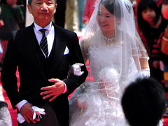 鯖江（福井）西山公園つつじまつりと結婚式