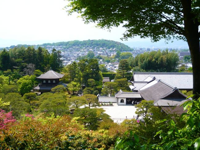 そうだ!京都へ行こう!。。。と思い立ったのが出発の10日前。<br /><br />いつ行く?から始まりまずは宿泊する宿探しから始めて、<br />運よく、嵐山近くの宿を手配することができました。<br /><br />本当は5月4日〜の一泊が希望でしたが、どこも一杯で、<br />5月5日〜の一泊でケッテ〜イ!。<br />でもこれが今回の京都旅行でのちょこっとラッキーの始まりでした。<br /><br />自宅を出発して数時間。朝の8時ごろに嵐山のお宿に到着ぅ<br />チェックインは午後3時からなので、車だけ駐車させてもらい<br />(駐車させてもらえるかは予約時に確認しましたよ)<br />今回の目的でもある「東映太秦映画村」へGO!<br />混雑を予想し、この度は嵐電で太秦へ。<br /><br />嵐電「太秦広隆寺」駅から映画村までは徒歩で15分ほど。<br /><br />映画村到着!さすがゴールデンウィークということで、チケットを<br />購入するお客さんが行列です。<br />いつもの休日がどれぐらいの混雑か分かりませんが、ものすごい数<br />でした。<br />チケットは前もって購入していって正解です。<br />ホテルによっては「通札」と書いた招待券を販売しておりますので<br />宿泊するホテルに確かめると良いです。<br /><br />忍者ショーや南京玉すだれはライブで見ると結構面白い。<br />その他にもアトラクションがありましたが、あまりの行列で断念。<br />アトラクション以外にも東映俳優さんの説明付き映画村散策や<br />花魁道中見物等楽しむことができました。<br />昼食はと言えば、レストランはどこも一杯!お弁当を販売しており今の季節なら外で食べても気持ちよいです。<br />キュウリを丸々一本浅漬けが200円で販売していて、これがそこそこ<br />おなかの足しになるのでおすすめです。<br />がぶりと一口!冷たくておいしかった〜<br />(結局お昼ごはんは食べ損ねてしまいました。残念)<br /><br /><br />午後からは映画村を後にして、金閣寺へ。<br />再び嵐電と市バスを乗り継ぎ金閣寺に到着!<br />市バスは満員御礼。境内も満員御礼。拝観札所の係員は。。。<br /><br />それでもあの煌びやかなる金閣寺は別格です。<br /><br />でもね、庭の苔が痛んでいるのは悲しかった。<br />お庭のお手入れも大切です。<br />お庭が美しくてこそ建物が引き立つのだと思う。。<br /><br />2日目は「茶寮 宝泉」で名物わらび餅をいただきながら<br />ステキなお庭を拝見。<br />とてもモチモチなわらび餅で初めての食感でした。<br />ご馳走様でした。<br />もちろん、わらび餅以外にも色々とありますので、<br />わらび餅が苦手な方でもおすすめです。<br />http://www.housendo.com/housen.html<br /><br />次に、銀閣寺を拝見。金閣寺に比べると建物自体は質素ですが<br />その分お庭が凝っていて、モダニズムを感じられます。<br />個人的には銀閣寺が好みだったでしょうか。<br /><br />締めくくりは四条河原町界隈へ<br />高島屋で昼食をいただき、新感覚的八つ橋のお店「nikiniki」で<br />http://www.nikiniki.co.jp/<br />お買い物をした後、先斗町〜鴨川〜錦市場へと散策し<br />帰路へ。<br /><br />今回は1泊2日とかなり無理なスケジュールでした。<br />その割には色々と観光できたので、楽しめました!<br />娘の部活が忙しくなると家族で旅行へ行くことが出来なく<br />なることもあり、今回が最後の家族旅行かもしれません。<br /><br />でも、また行きますよ、京都。<br /><br /><br /><br /><br />