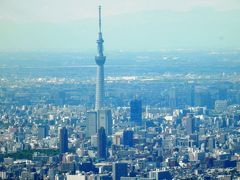 スカイツリー　初めて観たよ　空の旅