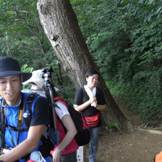 端午の節句日、独行（いつもは生徒引率が常）で弥彦山に行ってきました。で、一列車遅く出かけました。ソノ分、弥彦駅からの往復は、ユックリ出来ない状況でした。それでも、麓の茶屋で２０分以上休息できました。常連の方達や茶屋のご夫婦との談笑は、疲れを吹っ飛ばしてくれます。ちなみに、登山道も山頂も、親子連れやグループでニギヤカでしたし、独行の方達も元気一杯の雰囲気でした。では、今回はくだりの様子です。<br />表紙には、なつかしい「里見の松」を。３年前かな?