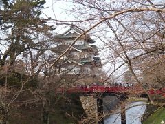 弘前はまだ硬い蕾の桜