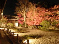 京都(紅葉)(2010年11月)