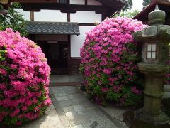 東福寺光明院　５月の風景！2013年