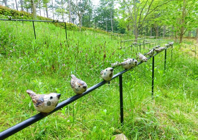 花と器を求めて　春の旅（３）～笠間の陶炎祭（ひまつり）で器めぐり＆野菜たっぷりのランチ