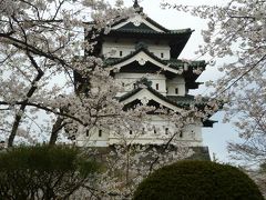 名峰岩木山と弘前城の桜