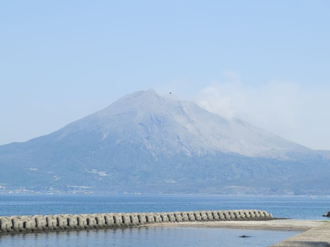 熊本、大分への帰省を兼ねて、鹿児島、宮崎まで足を伸ばしました。<br />その中の、鹿児島観光編です。<br /><br />４月２８日<br />　大阪南港出航<br /><br />４月２９日<br />　鹿児島志布志港着<br />　桜島観光<br />　天文館で昼食<br />　蒲生の大楠に出会う<br />　野々湯温泉にて宿泊<br /><br />４月３０日<br />　霧島神宮参拝<br />　高千穂へ<br /><br />　