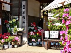 カメラと散歩　春の棚田と茂原ボタン園　②