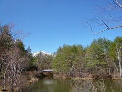 ゴールデンウィークの北軽井沢と軽井沢♪　Ｖｏｌ６　☆浅間高原の美しい公園とダイアモンドホテルのディナー（2回目）♪