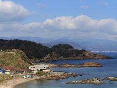 南伊豆ぐるり旅【1】～海辺の草原大地に咲き乱れる水仙群生地～爪木崎[前編]