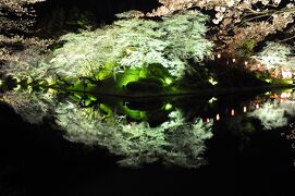 桜前線を追いかけて【１】～米沢城址で夜桜を観る～