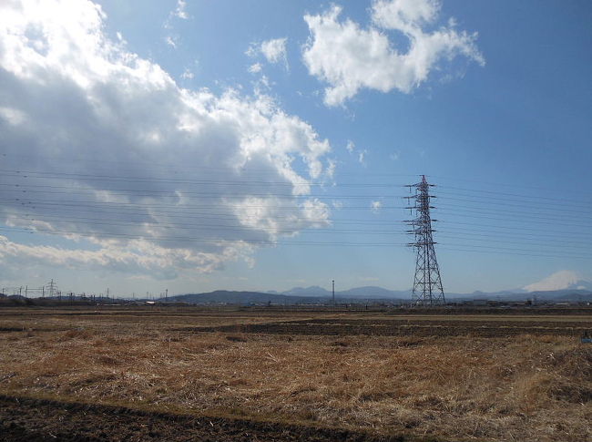 平塚市の田圃に珍鳥セアカモズが出ているとの情報を戴き現地に飛んで行きましたが、残念ながら見る事ができませんでした。<br />珍鳥セアカモズは見られませんでしたが、久しぶりにニュウナイスズメを見る事ができ、それなりにバードウォッチングを楽しむ事ができました。<br /><br />表紙写真は、珍鳥セアカモズが見られたという平塚市の田園風景です。