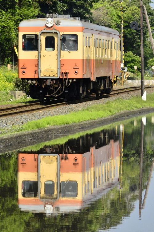 ひたちなか海浜鉄道に広がる田園風景を眺めに訪れてみた』ひたちなか