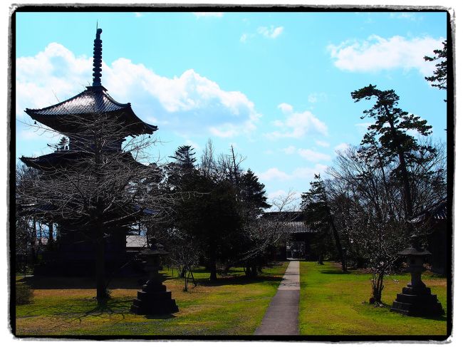 【新潟県へ１泊２日の旅。親鸞聖人ゆかりの地散策】<br /><br />春の越後路へ｡｡｡<br /><br />４月に入り、各地で桜の開花がだんだんと進んできている様子。<br />そこで、「日本さくら名所100選」にも選ばれている桜の名所・高田公園を訪れるべく、１泊２日の日程で新潟県・上越地方へ出発♪<br /><br />桜の前に、まずはこの地域（新潟県南西部）の旅の玄関口である直江津駅から、点在するいくつかの歴史スポットを訪れてみることに。<br /><br />実はこの直江津の五智地区は、浄土真宗の開祖・親鸞聖人が、京都における専修念仏停止の法難により、1207年にここ越後国国府に配流となり、その後約７年にわたりこの地で過ごしたことから、今も聖人ゆかりの名所・旧跡が残されています。<br /><br />正直これといってすごい観光スポットがある訳ではないですけれども、春の陽光の下、とても静かで落ち着いた雰囲気の中、今も残る歴史の足跡を辿ることができました｡｡｡<br /><br />〔旅の行程〕<br />・東京駅 ～ 越後湯沢駅 ～ 直江津駅 ～ 五智国分寺 ～ 鏡ヶ池 ～ 居多ヶ浜 ～ 居多神社 ～ 愛宕神社 ～ 本願寺国府別院 ～ 光源寺<br /><br />【旅行記その２】～戦国の名将・上杉謙信公の居城　春日山城登城記～<br />　http://4travel.jp/traveler/akaitsubasa/album/10775237/　<br />【旅行記その３】～「2013 高田城百万人観桜会」 で日本三大夜桜を愛でる～<br />　http://4travel.jp/traveler/akaitsubasa/album/10767937/<br />【旅行記その４】～（もう１回！）「2013 高田城百万人観桜会」 で朝日に照らされた桜を愛でる～<br />　http://4travel.jp/traveler/akaitsubasa/album/10777490/<br />【旅行記その５】～「天地人」の故郷に、直江兼続公の足跡を訪ねる～<br />　http://4travel.jp/traveler/akaitsubasa/album/10778878/
