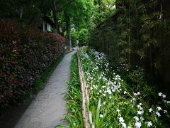 武蔵の国分寺界隈お散歩