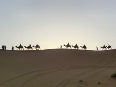 2013年4月モロッコの旅　その２（フェズ・エルフード・トドラ渓谷・ワルザザード）