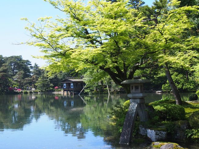 初めての北陸旅行2日目!　前日、金沢に到着した時とは打って変わって朝から快晴です!　イエーイ。　やっぱり私って晴女?<br /><br />前日、金沢に着いた後は観光はほとんどしていないので、金沢市内の観光はこの日の午前中のみ。　午後には電車に乗ってまた移動しますので、相変わらず忙しい旅です。　見どころいっぱいの金沢!　頑張って予定を詰め込むにも、半日しかないとどう頑張っても全てを見学することは出来ないことが最初から分かっていたので、いつになるかは分かりませんが、再訪する事前提で今回の旅を計画しました^^;　次に来るのは、北陸新幹線開通後に、新幹線で来ることになるかしら～♪<br /><br />金沢では、1度横浜のライブも一緒に行ったことのある、コブクロと福山さんファンのお友達に事前に連絡しておき、一緒にランチを食べました。　今回の一人旅で、1番喋った1日だったかも(笑)。