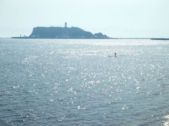 ちょこっとお散歩！　鎌倉・湘南　山の風と海の風　名も知らぬ小さなお花が満開でした！！