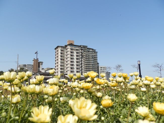 遊び人、気の向くままの一人旅もいよいよ能登半島に入りました。<br />先ずは、時計回りと反対に海沿いを走りました。<br />能登島の入り口には、あの有名な和倉温泉！<br />そうです、あの宿ランキング１位の加賀屋さんが有る温泉地です。<br />