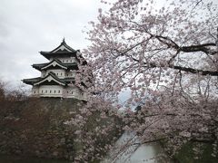 ＜青森･津軽＆西海岸の旅.2＞本日が満開!?　「弘前城＆弘前公園」満開の桜