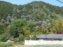 仲間と行く春の高尾山ハイキング