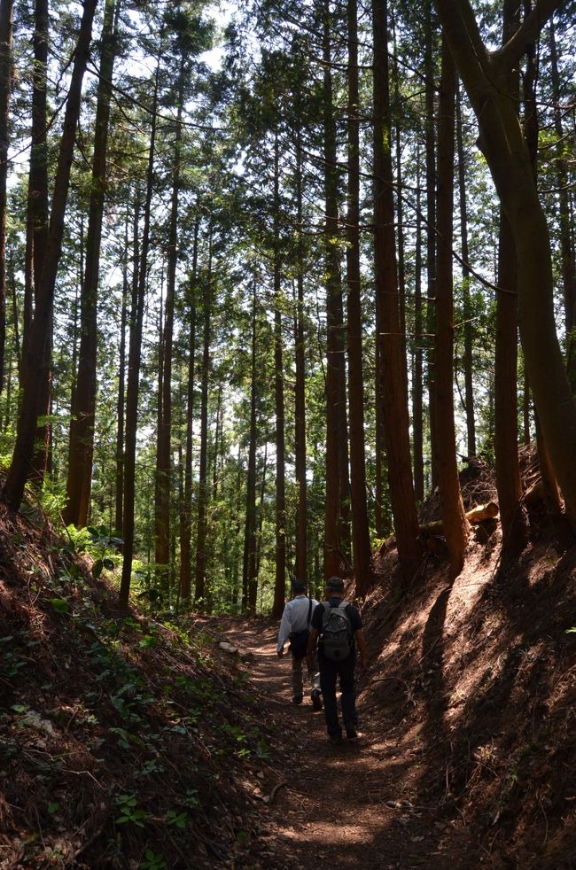 高尾山健康登山（２）　高尾山ー小仏峠ー小原宿