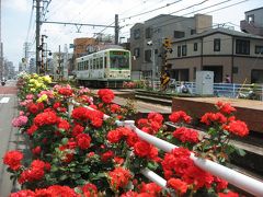 ’１３　都電荒川線　春バラさんぽ１（向原～荒川遊園地）