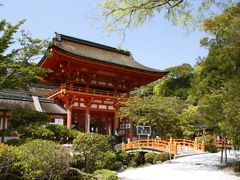2009年お花見　京都　下鴨神社・上賀茂神社