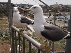 思ったよりも寒かった　青森家族旅行　3日目