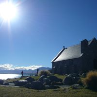 2013GWは初秋のニュージーランドへ（その６）～南島テカポ湖・北島オークランド～