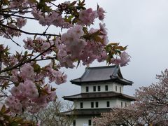 五稜郭公園と松前公園でお花見