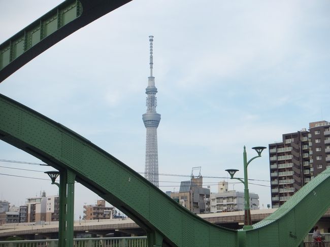 東京メトロを全線歩き終え、今回から都営地下鉄路線を歩きます。手始めは一番新しい大江戸線。東京を横に広い楕円で一周し、都庁前からは尻尾のように光が丘まで、４０．７ｋｍ、３８駅と一番大変な路線です。<br /><br />表紙は、厩橋（うまやばし）から見えたスカイツリー
