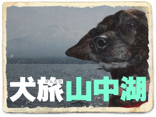 愛犬Ｋｅｎと旅する企画『 犬旅 』<br /><br />第４回は、山中湖。<br />って、ドコ？<br />写真をよーく見てごらん。