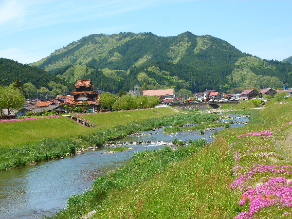 「日本で最も美しい村」と私が勝手に言っているのではない。れっきとしたＮＰＯ法人が景観や環境や文化などを審査して、これまでに５０近くを認定している。私が４回も行った長崎・小値賀島もはいっている。だが残念なことにこの前の大東島はまだ認定されていない。<br />この岡山・新庄村は平成２１年に認定された。しかも「日本の音風景１００選」にも「日本の香り風景１００選」にも選ばれている。ん？　音風景とは何ぞや、香り風景とは？　と思わず疑問に思ってしまう。<br />それでは行って確かめてみようではないかと、岡山からレンタカーで２時間かけて新庄村におもむく。<br /><br />結論からいえば、大納得。さすがに美しい。今まで見た里山の中でも、群を抜く美しさだ。あっと驚くことがしょっちゅう。しかし音風景がつかめたのか、香り風景がつかめたのか、そのへんは自信がない。人それぞれの解釈としておくことにしよう。<br />新庄村のメインは２つとみた。<br />一つは出雲街道の宿場町跡。もう一つは毛無山。けなしやまと読んでいたが、正式な名前は「けなしがせん」というらしい。そうこの山頂に立つと、もう前に大山や蒜山が迫ってくるのだ。かくも鳥取や広島に近いことが分かる。<br /><br />まず宿場跡の様子から。知られているのは、妻籠・馬篭、内川宿、熊川宿など。ところがそれらを連想するなかれ。この宿場跡はきれいな通りが通っているが、人は誰も散策などしていない。土産屋も全くない。知る人ぞ知るといった趣のところだ。しかしがいせん桜（日露戦争で凱旋したおりのゆかりだそうだ。）が両側に咲くころはさぞやにぎわうことだろう。音風景の説明も少し残っているが、私は毛無山にこそ、その訳を見い出した。<br /><br />その毛無山に登るのがたいへんしんどかった。６９歳しかも足腰が弱ってきて、何度も断念するかと弱気になってしまう。登山口から２?というが、標高差は約６００ｍ。登りなれたクライマーならなんてことはないのだろうが、もう自分を叱咤激励するしかない。鶯やさまざまな鳥の鳴き声に励まされ、途中で湧き水を飲んで、ブナ林の中を歩く。岡山でありながら、「けなしがせん」と読むのは、大山にちなんでのことだろう。<br />時おり「コツコツコツコツ・・・」と木をついばむような音が。あれはキツツキにちがいない。<br />それで新庄村＝音風景と単純に考えたのだった。<br /><br />まさに艱難辛苦の果てに１時間４０分かけて山頂へ。あっと驚く景観。みごと！　１８０度全開。前に大山。横に蒜山。さすが日本海は見えなかったが、案内板には弓ヶ浜などとある。<br />よかった、登ってきて。羽黒山よりも利尻・礼文よりも、三徳山よりもずっとしんどかったが、根性の果てに、「やったぜベイビー」とわけの分からない言葉が思い浮かぶ。<br /><br />おかげで湯原温泉の宿に着いたのは、６時半になった。またこの宿がよかった。（あとで口コミを書きます。）<br /><br />２日目は岡山を離れて、広島県へ。国営備北丘陵公園。いつも思うが国営の公園は徹底した手入れをしている。しかも広い。さらにせらにまわって、ユリ園やフジ園へ。<br />どちらもスケールがとてつもなく大きい。<br />関西ではめったに見られない花ばなを堪能したのだった。<br /><br />これを書く今も足の筋肉が痛くて、元にもどるまで時間がかかりそうだが、「日本で最も美しい村」は人に充足感を与える村でもあった。