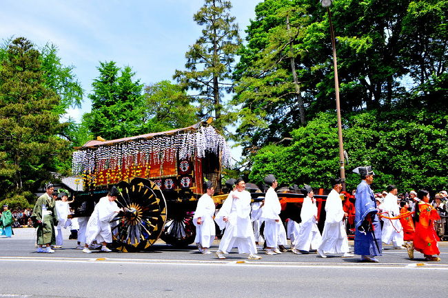 滋賀の甲賀市で、あいの土山斎王群行<br />毎年のように行くが<br />http://4travel.jp/traveler/isazi/album/10761478/<br />何処か似通っていて、伝統深い<br />京都の三大まつり、葵祭へ<br />何時か何時かが、「今」今回思い切って<br /><br />葵祭は、始めてなので京都駅で<br />京都の友達と待ち合わせて、案内してもらいました。<br /><br />御所より寺町通りを左折した地点で<br />既に，遅いので<br />沿道には，凄い人<br />何よりも、地下鉄駅より<br />人の山、人の流れに沿って歩く<br />寺町通へ<br />そこも人だかりで<br />京都の友達と葵祭の凄さに驚く<br /><br />今回は，下見のつもりで望んでみました。<br /><br />下鴨神社へは、人の山で入る余地なく<br /><br />時間に余裕有るので京都府立植物園の花達を見て<br />http://4travel.jp/traveler/isazi/album/10777153/<br />（全体の八分の一位見て次ぎの撮影ポイントへ）<br />北山門広場から出て　<br />北山通りから賀茂川へ<br />今回は、ここが目的の撮影ポイント<br />2013 葵祭 （下）上賀茂神社へ<br />http://4travel.jp/traveler/isazi/album/10777667/