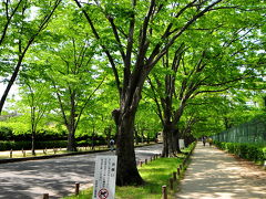 2013  京都府立植物園の花達