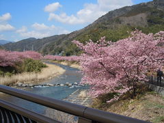 河津温泉郷・今井浜の旅行記