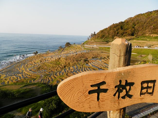 千枚田は国道２４９号線沿い、輪島と曽々木の中間辺りに位置し、<br />小さな田が幾何学模様を描いて海岸まで続いています。田の枚数は国指定部分で１，００４枚もあります。<br />春から夏には海に沈む夕日が田に映えて美しく絶好の撮影ポイントとなります。 <br />この千枚田を見下ろす所に「道の駅・千枚田ポケットパーク」があり、<br />レストハウスには特産品や民芸品の販売やトイレもあります。<br />　　　　　　　<br />※千枚田では田植えや稲刈りのボランティアを募集しています。 <br /><br />　詳細につきましては輪島市観光課までご連絡下さい。 <br /><br />　　ＴＥＬ　０７６８−２３−１１４６<br /><br />　・平成１３年、国指定文化財名勝指定<br />　・平成１１年　「日本の棚田百選」（農水省）に選ばれました。<br />　・平成８年　景観保存が認められ「水の郷」（国土庁）に認定されました。<br />　・平成６年　「手作り観光地百選」（通産省）に選ばれました。<br />　・平成５年　「道の駅」（建設省）に登録されました。<br />　・平成４年　「手作り郷土賞」（国土交通省）に選ばれました。<br />　・平成３年　「日本の米づくり百選」に選ばれました。 <br />　　<br />お問い合わせ先：輪島市観光課　0768-23-1146 <br />http://www.wajimaonsen.com/miru/010/post_1.html<br />