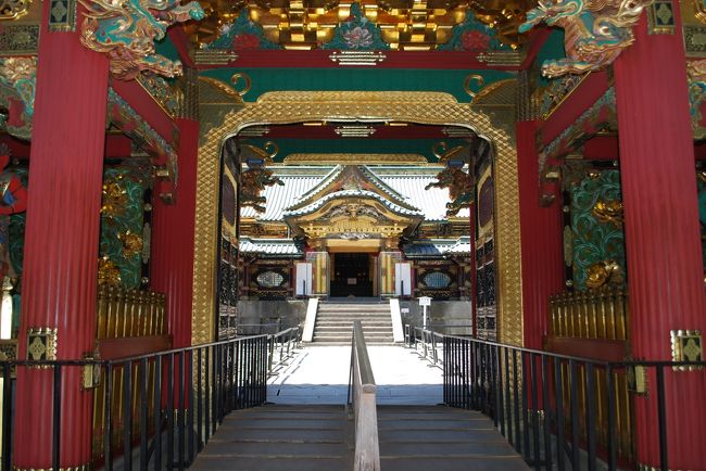 朝一番から「日光東照宮」「日光二荒山神社」と巡り<br />二荒山神社の鳥居をでてお辞儀をして左手方向を見ると「家光公の墓所」と記された家光廟「大猷院」<br />今回の旅行でゆっくり見たかった所<br />日光東照宮の混雑から一変<br />ゆったりと巡ることができました