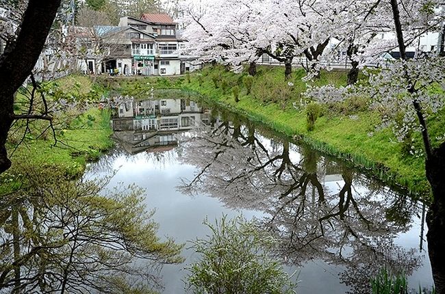 ★盛岡の桜と、鬼の手形伝説のある三ツ石神社