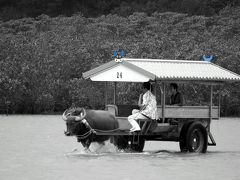 1歳の娘の初めての飛行機旅行で、初めての石垣旅行！