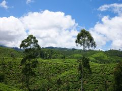 スリランカ中央1000メーロル級の紅茶畑を巡る （前編）