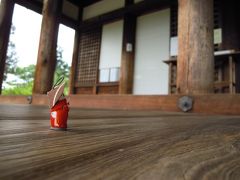 奈良の魅力は咲く花の　(2)   般若寺～奈良きたまち～れんじょう寺