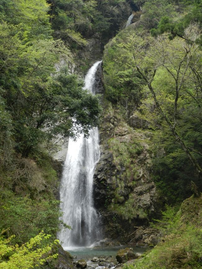 ヤマサ蒲鉾の芝桜を堪能したJOECOOL夫婦が次に向かったのはやっぱり滝でした。<br />兵庫県に４つある日本の滝百選（天滝・猿尾滝・布引の滝・原不動滝）のうち、他の３ヶ所には二度以上訪れていましたが、『原不動滝』はまだ一度だけだったので再訪してみることにしました。<br /><br />前回は2008年5月に訪れています→http://4travel.jp/traveler/joecool/album/10242387/