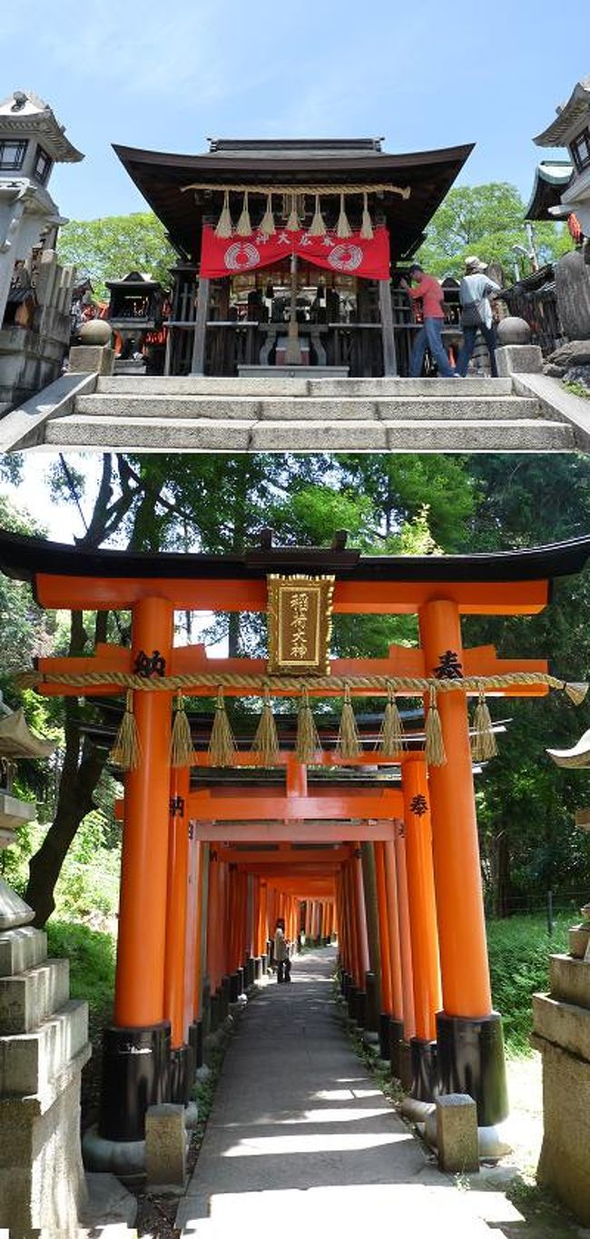 初制覇 伏見稲荷の鳥居 階段を登頂 参拝ハイク 伏見 京都 の旅行記 ブログ By Ittsuan123jpさん フォートラベル