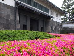 楽器と古書と皇居東御苑を楽しむ自由散歩/東京・お茶の水、神保町、東京駅周辺