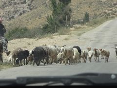 カラク～十字軍とイスラムの攻防の地