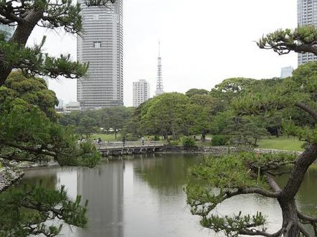 東京湾遊覧船のシンフォニーギフト券を２名<br />いただく機会がありました。<br />梅雨の前に使おうと思い行ってきました<br /><br />また、いつも羽田空港に行く際に気になっていた<br />浜離宮も近いので行ってきました。